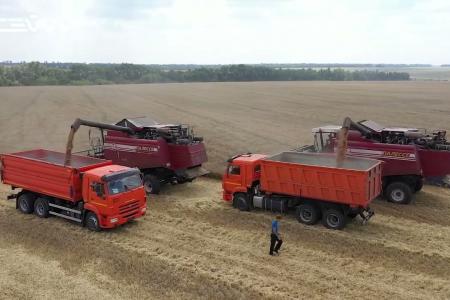 В Курской области завершена уборка зерновых